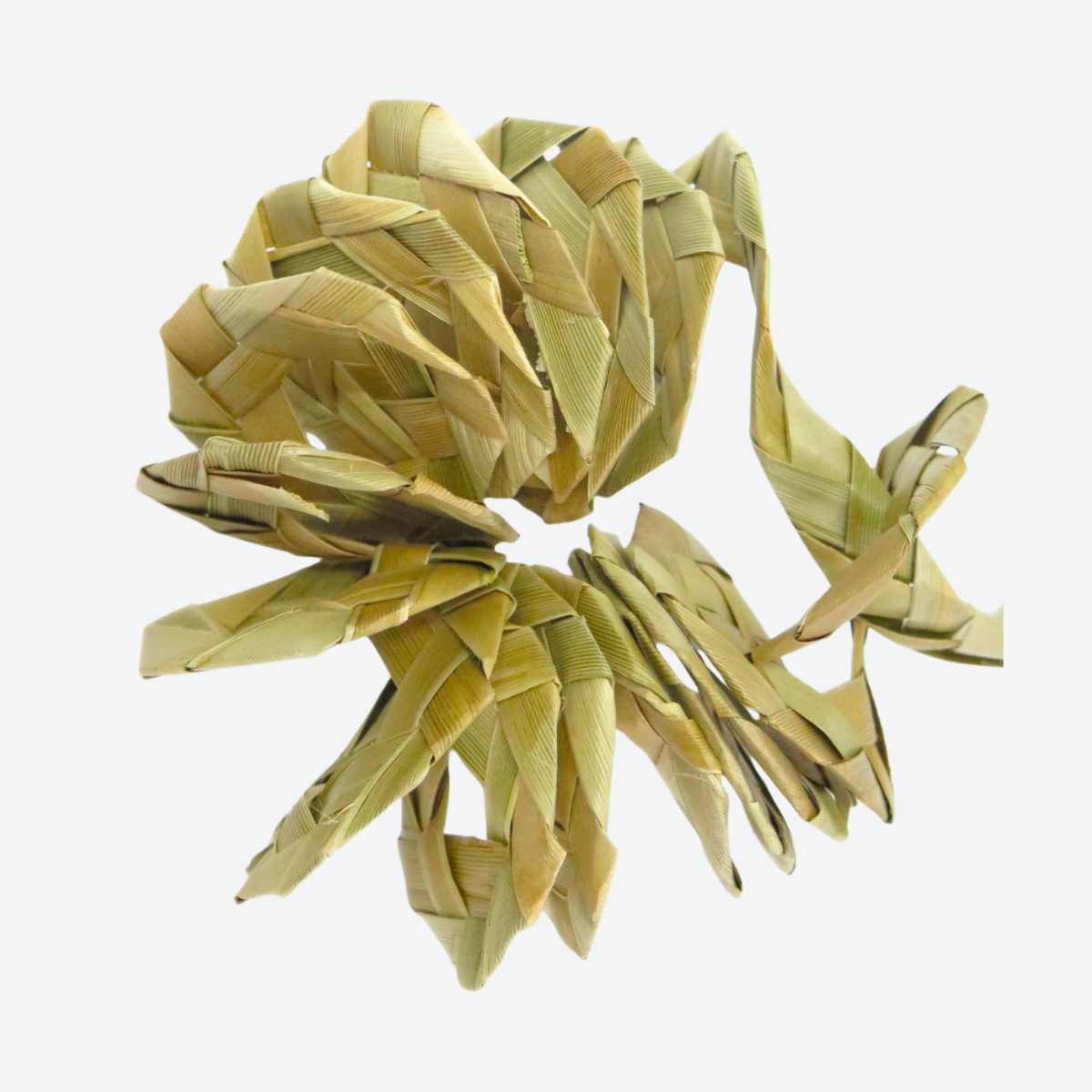 Palm Leaf Swirl