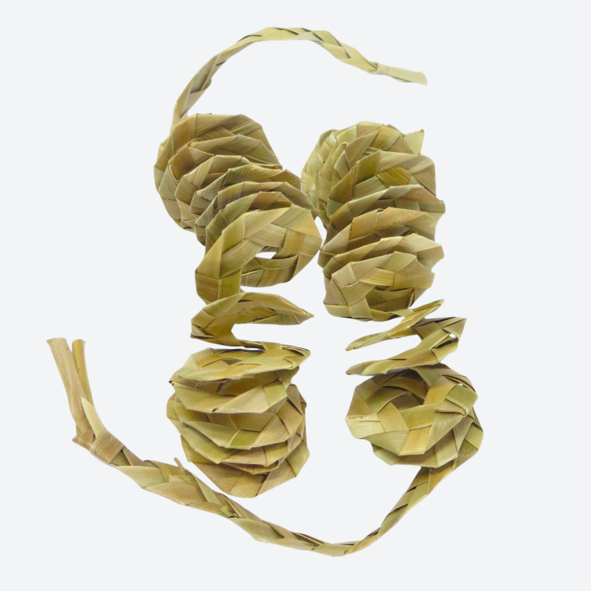 Palm Leaf Swirl