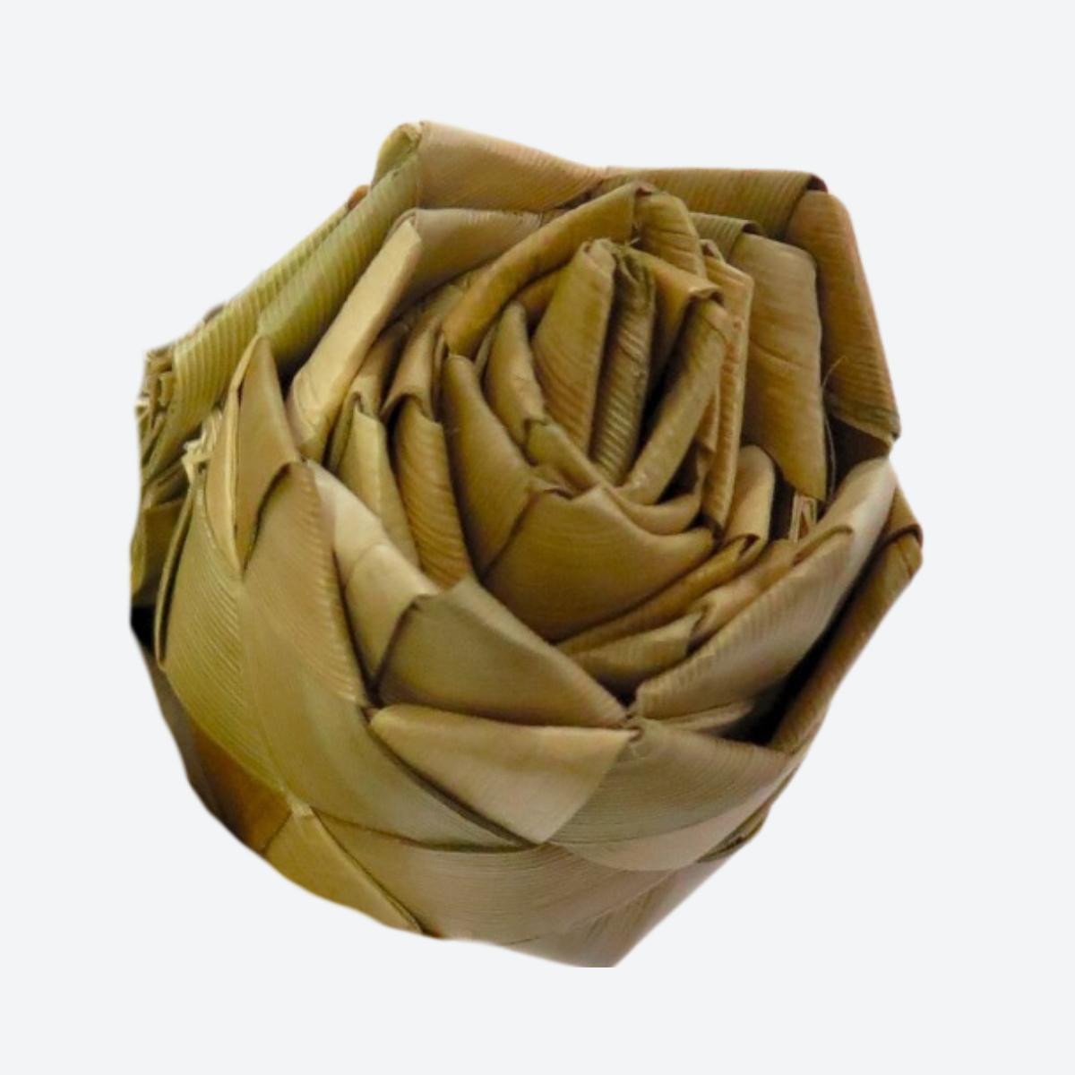 Palm Leaf Rose