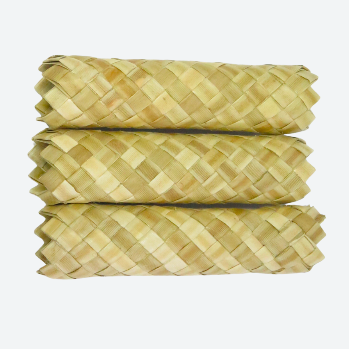 Palm Leaf Roller