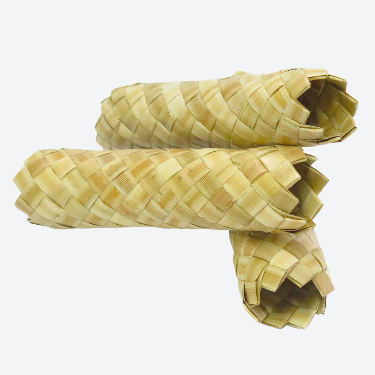 Palm Leaf Roller