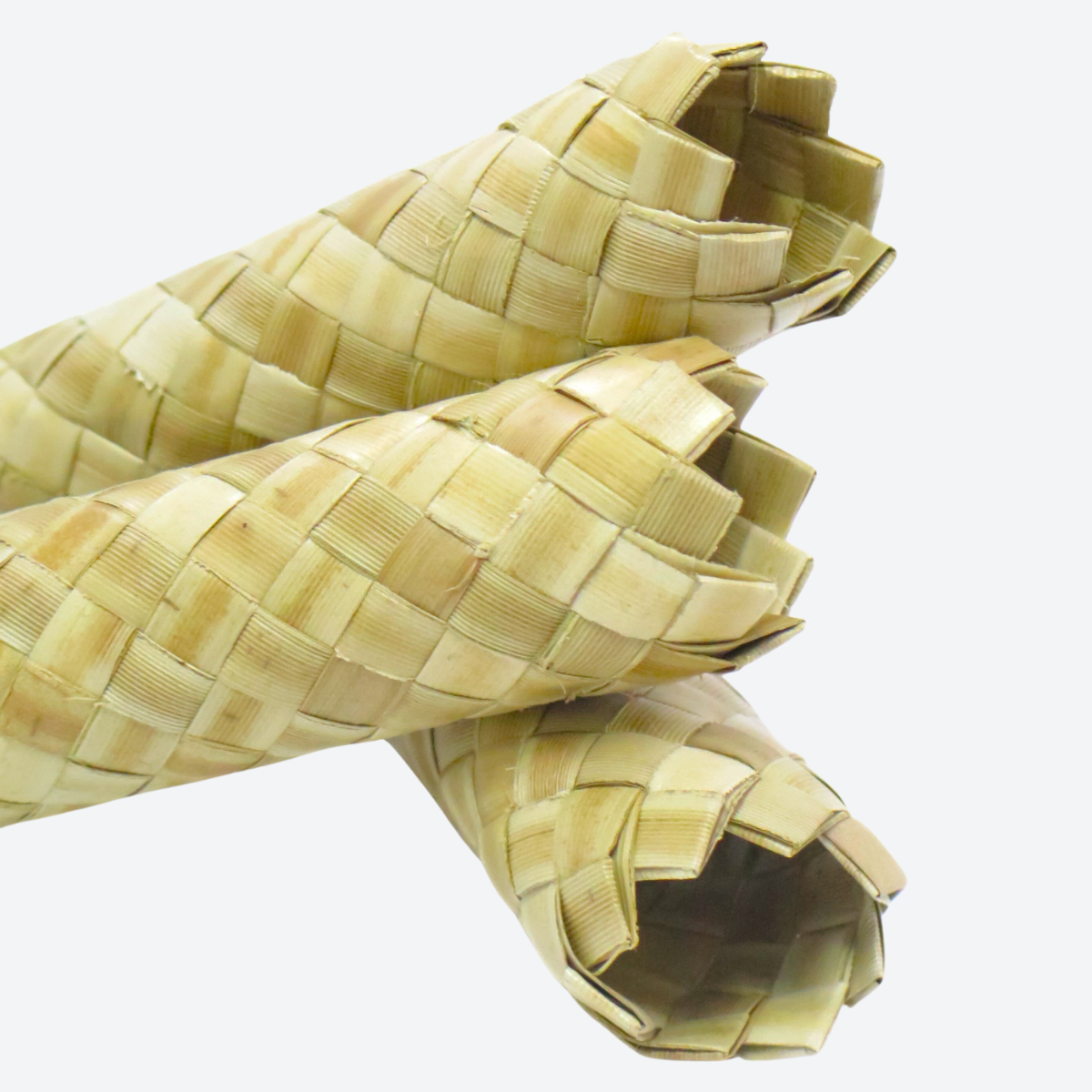 Palm Leaf Roller