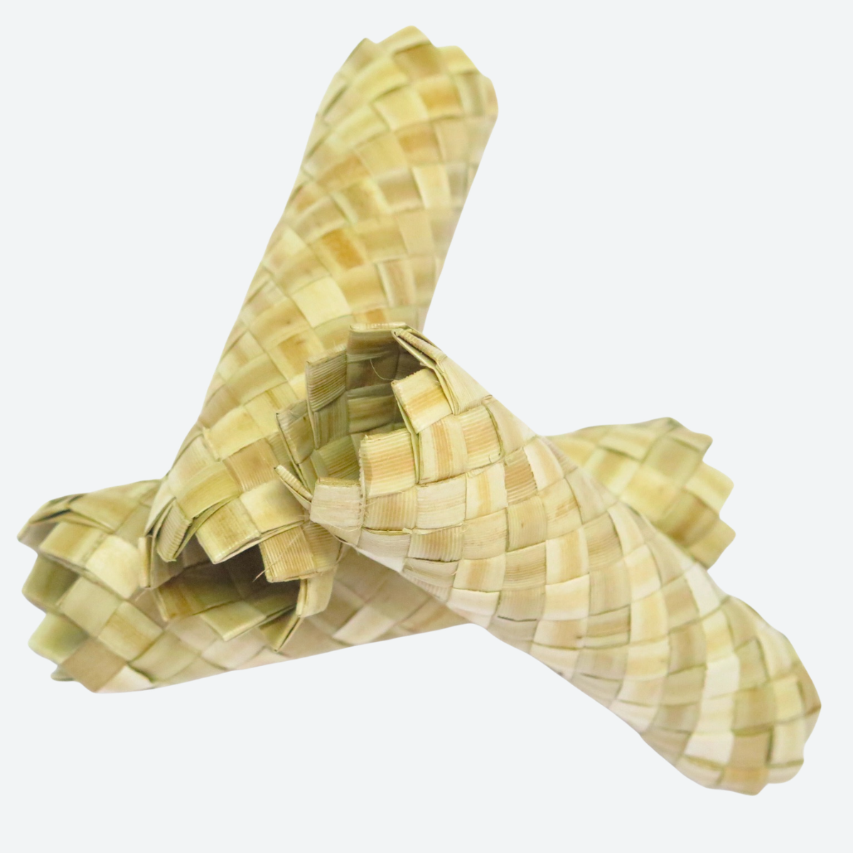 Palm Leaf Roller