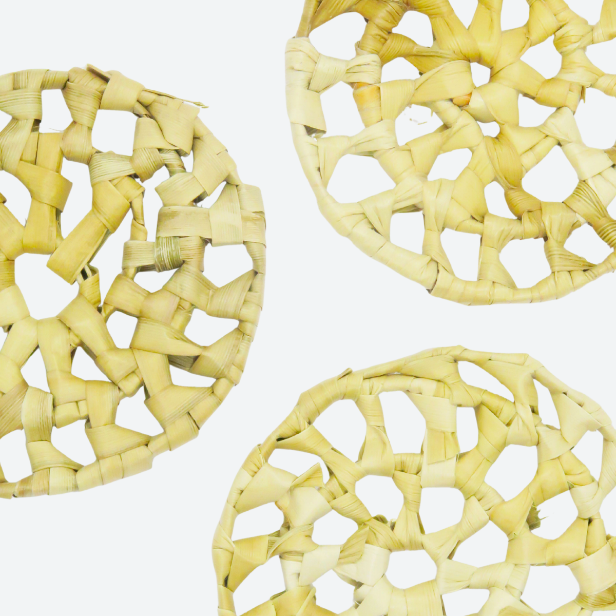 Palm Leaf Disc
