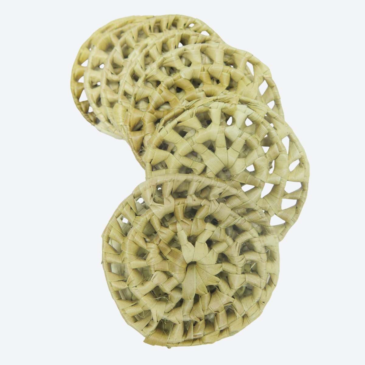 Palm Leaf Disc