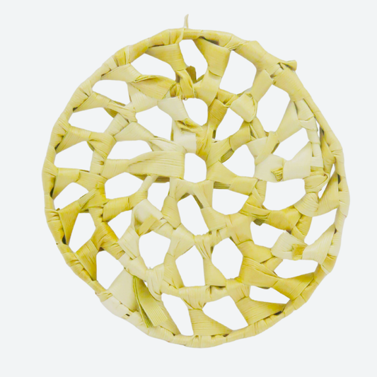 Palm Leaf Disc