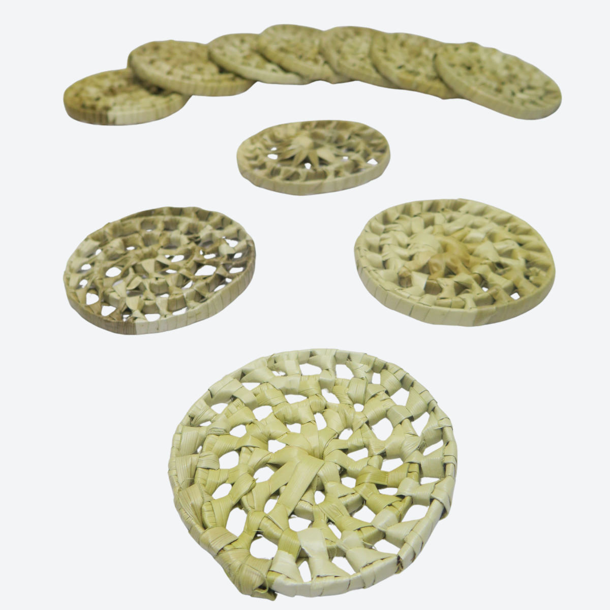 Palm Leaf Disc