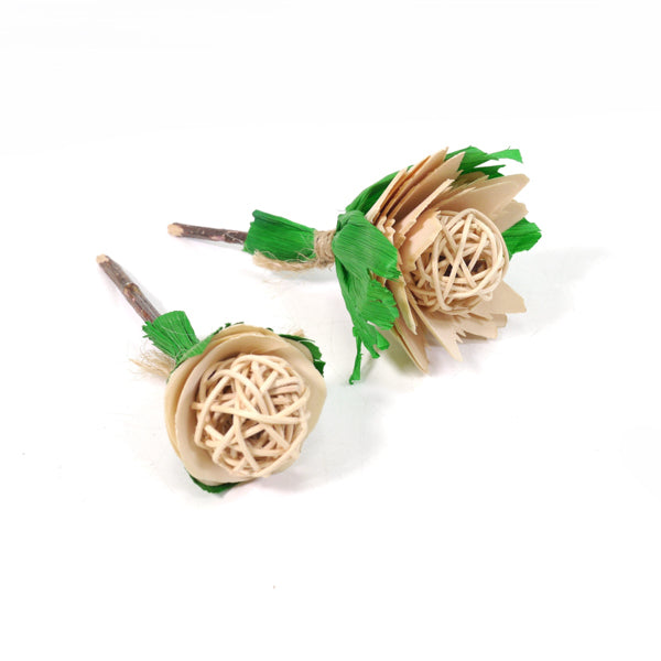 Apple Stick Roses