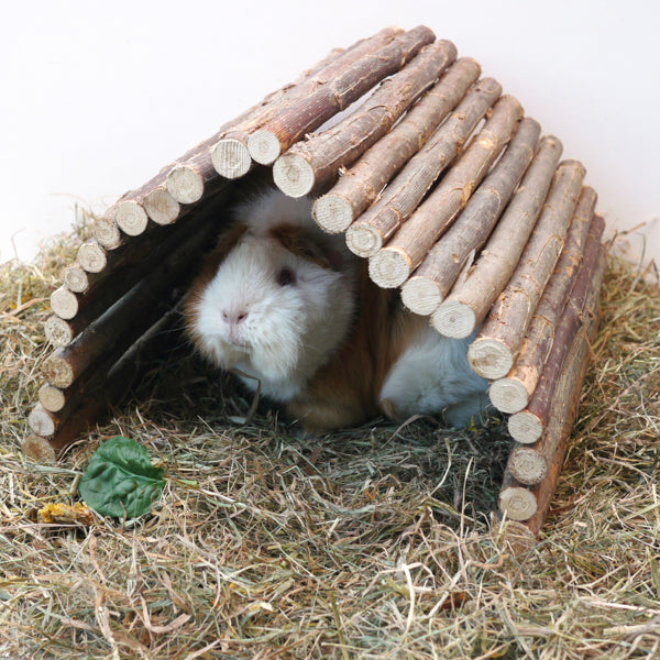 Flexible Hideaway