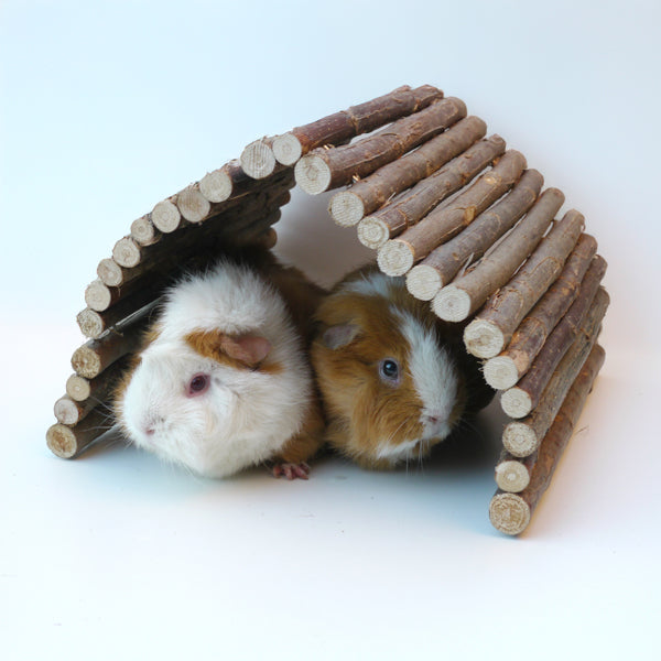 Flexible Hideaway