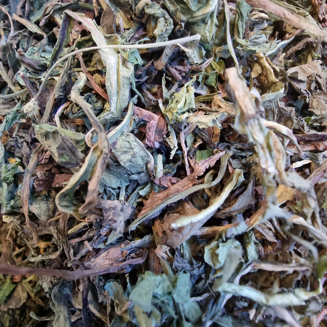 Dandelion Leaf