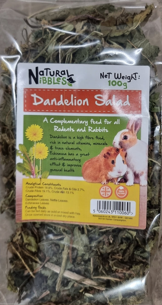 Dandelion Salad