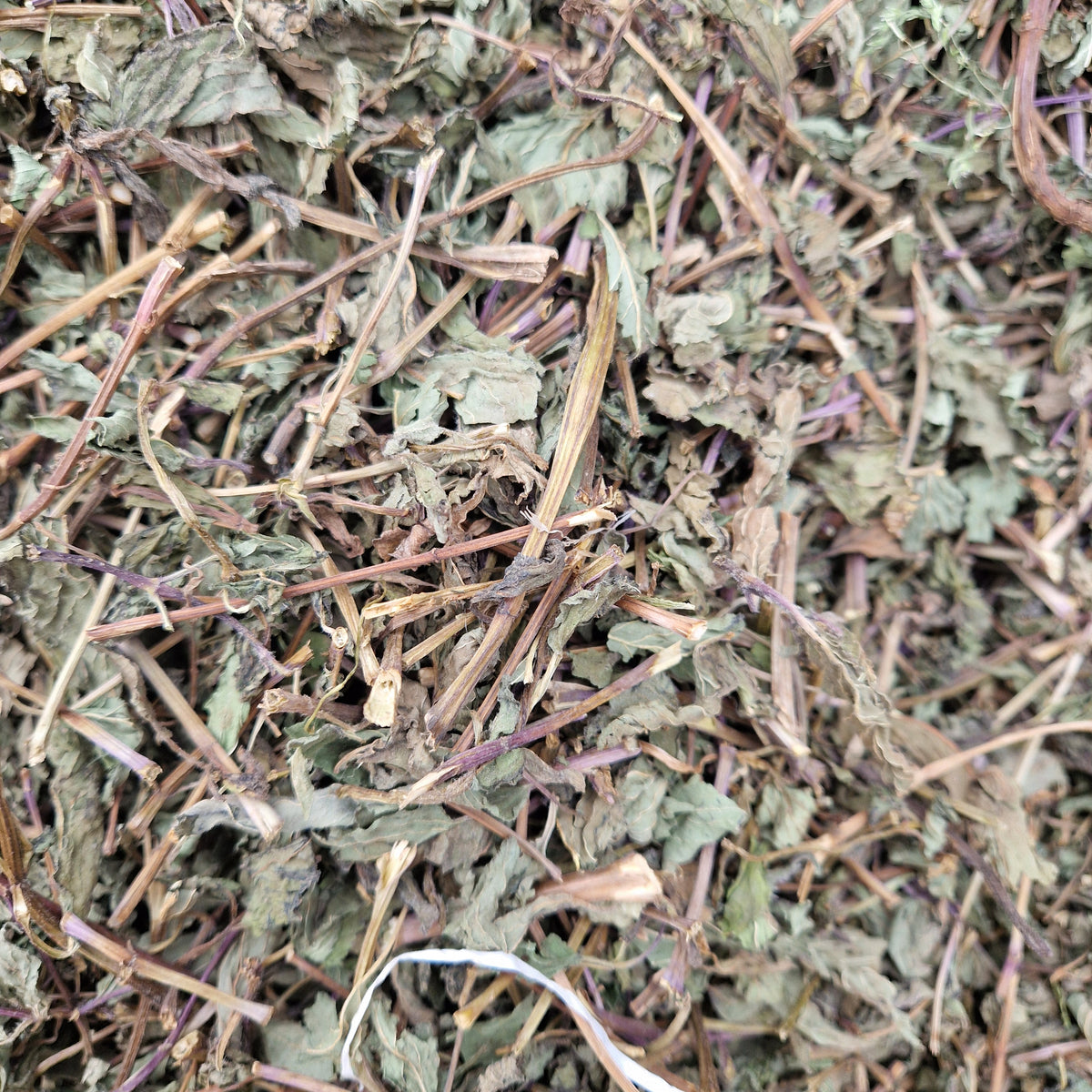 Peppermint Leaves – Wild About Bunnies