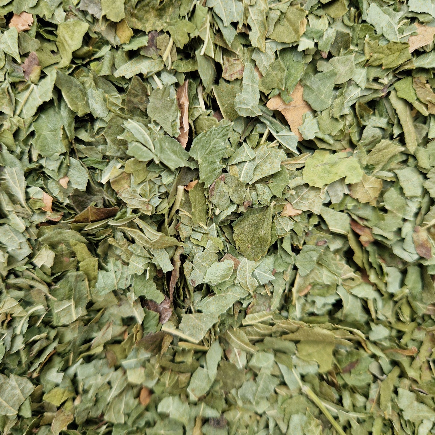 Fine Cut Blackcurrant Leaf (hay topper)