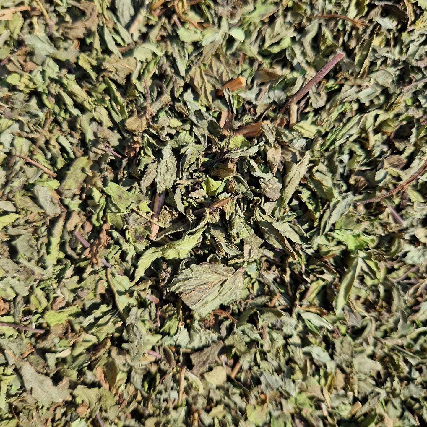 Fine Cut Peppermint Leaf (hay topper)