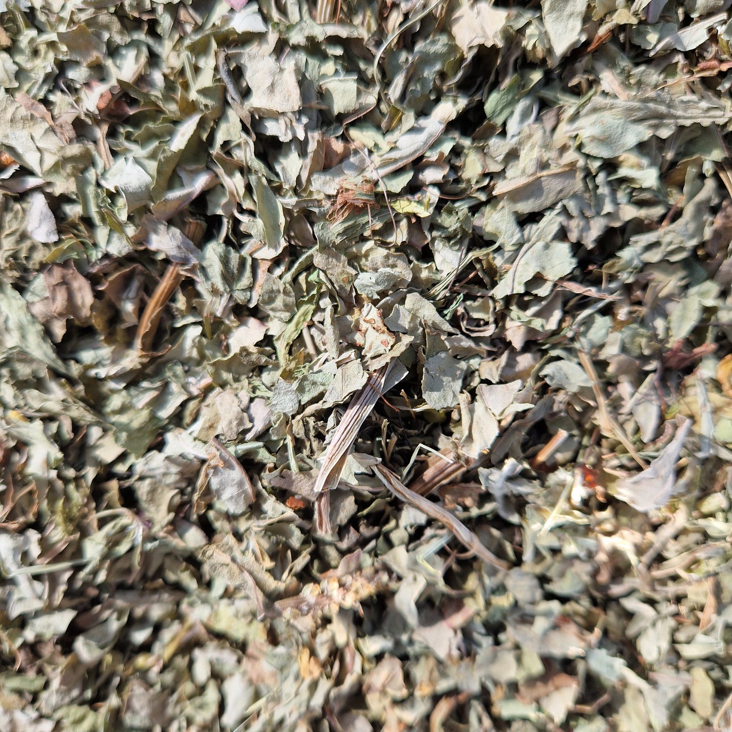 Fine Cut Broadleaf Plantain (Hay Topper)