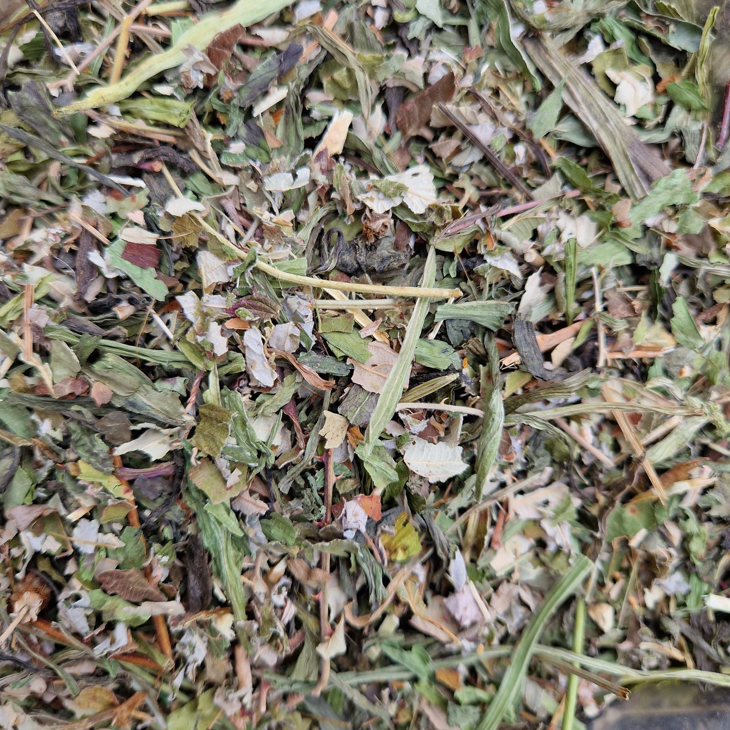 Fine Cut Ribwort Plantain & Raspberry (hay topper)