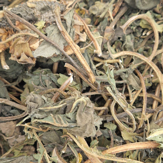 Sunflower Leaves