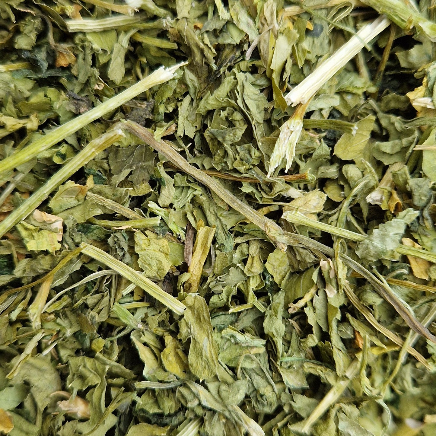 Flat Leaf Parsley Hay Topper