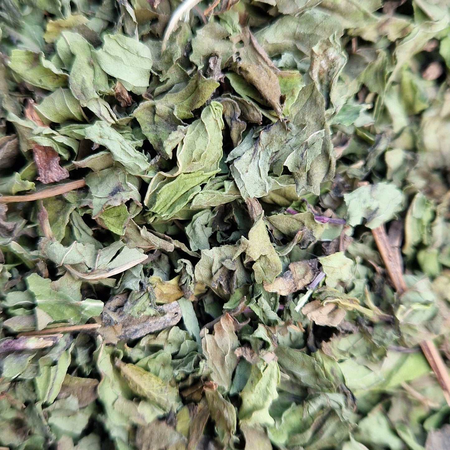 Fine Cut Spearmint Leaf (hay topper)