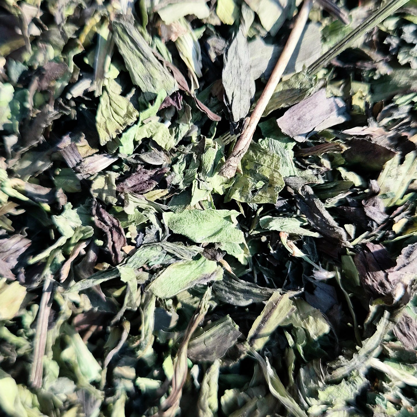 Fine Cut Plantain & Nettle