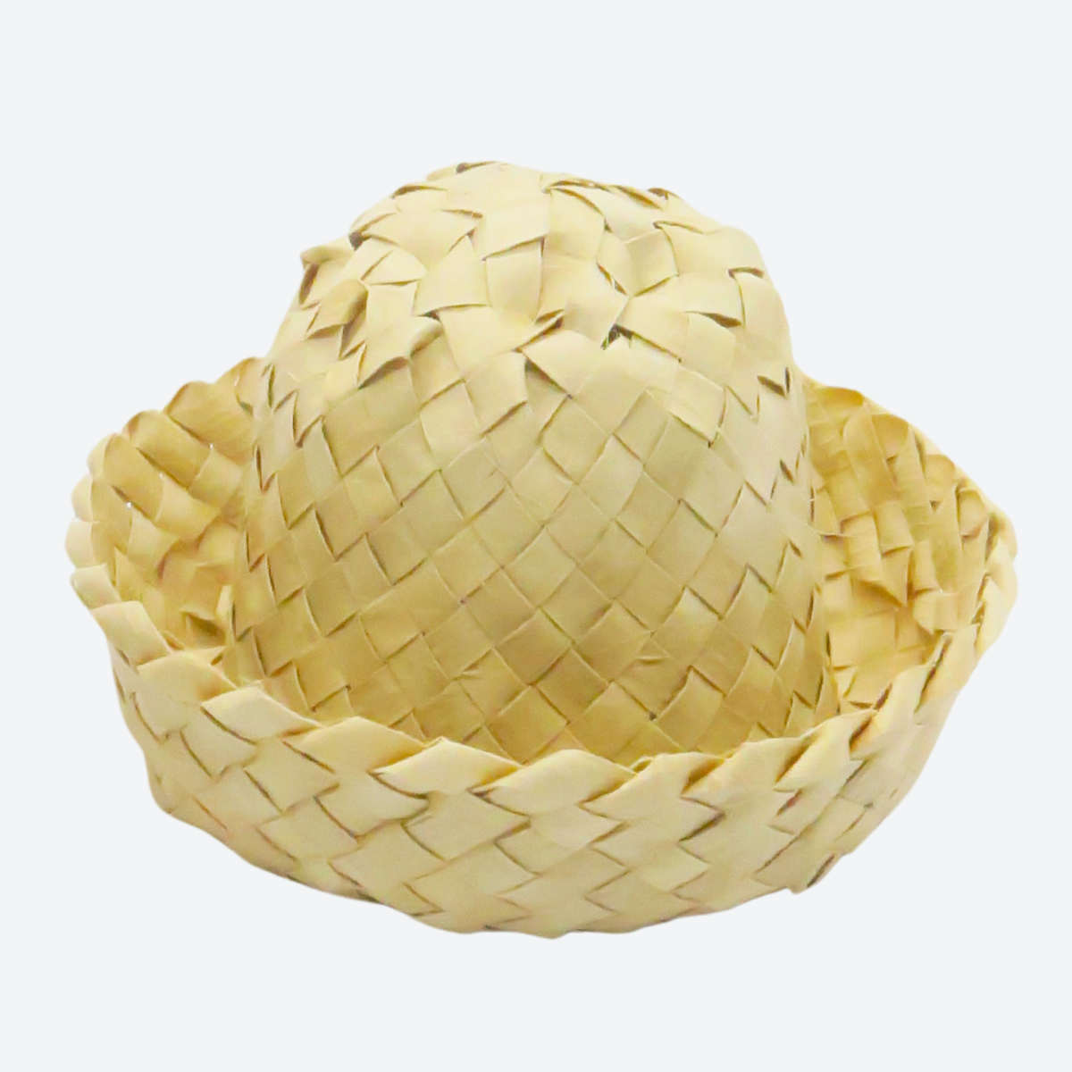 Palm Leaf Bundle