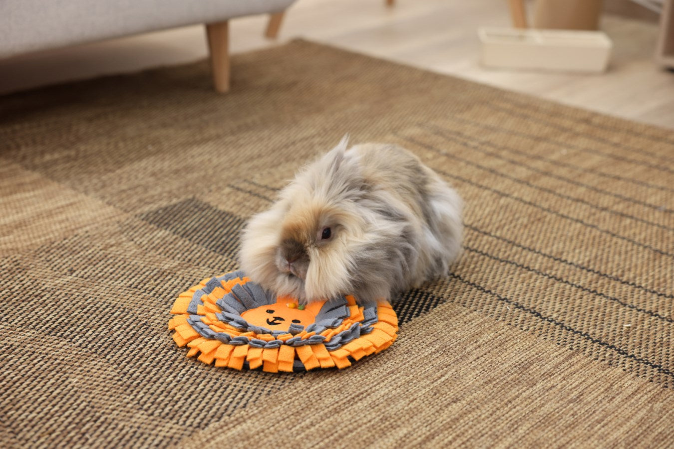 Rabbit Snuffle Mat