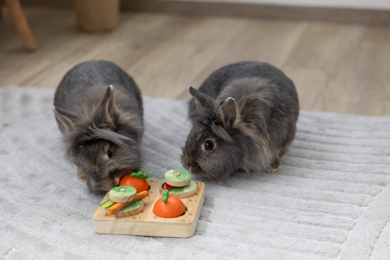 Thinking and Learning Toy - Veggie