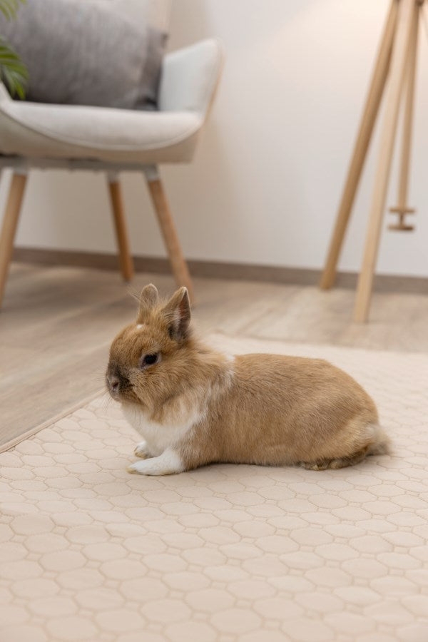 Washable Urine Mat