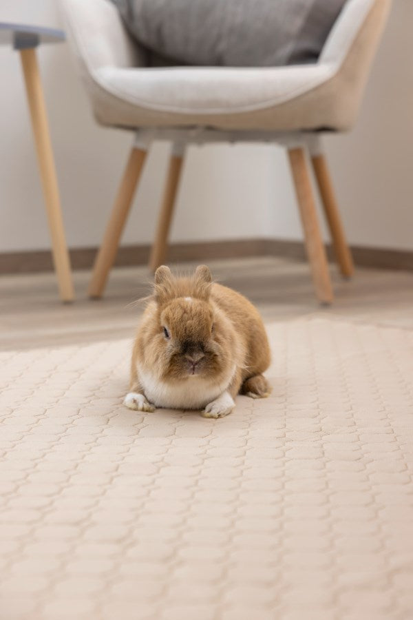 Washable Urine Mat