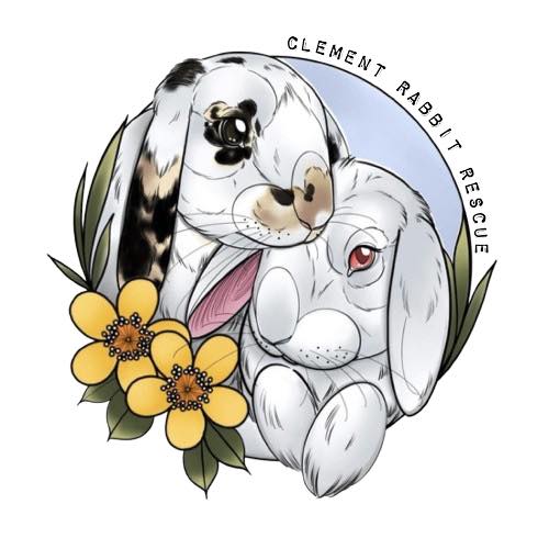 Donate £1 or an item to Clement Rabbit Rescue