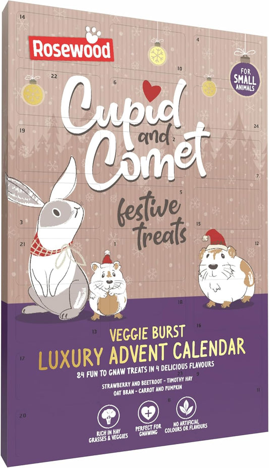 Advent Calendar