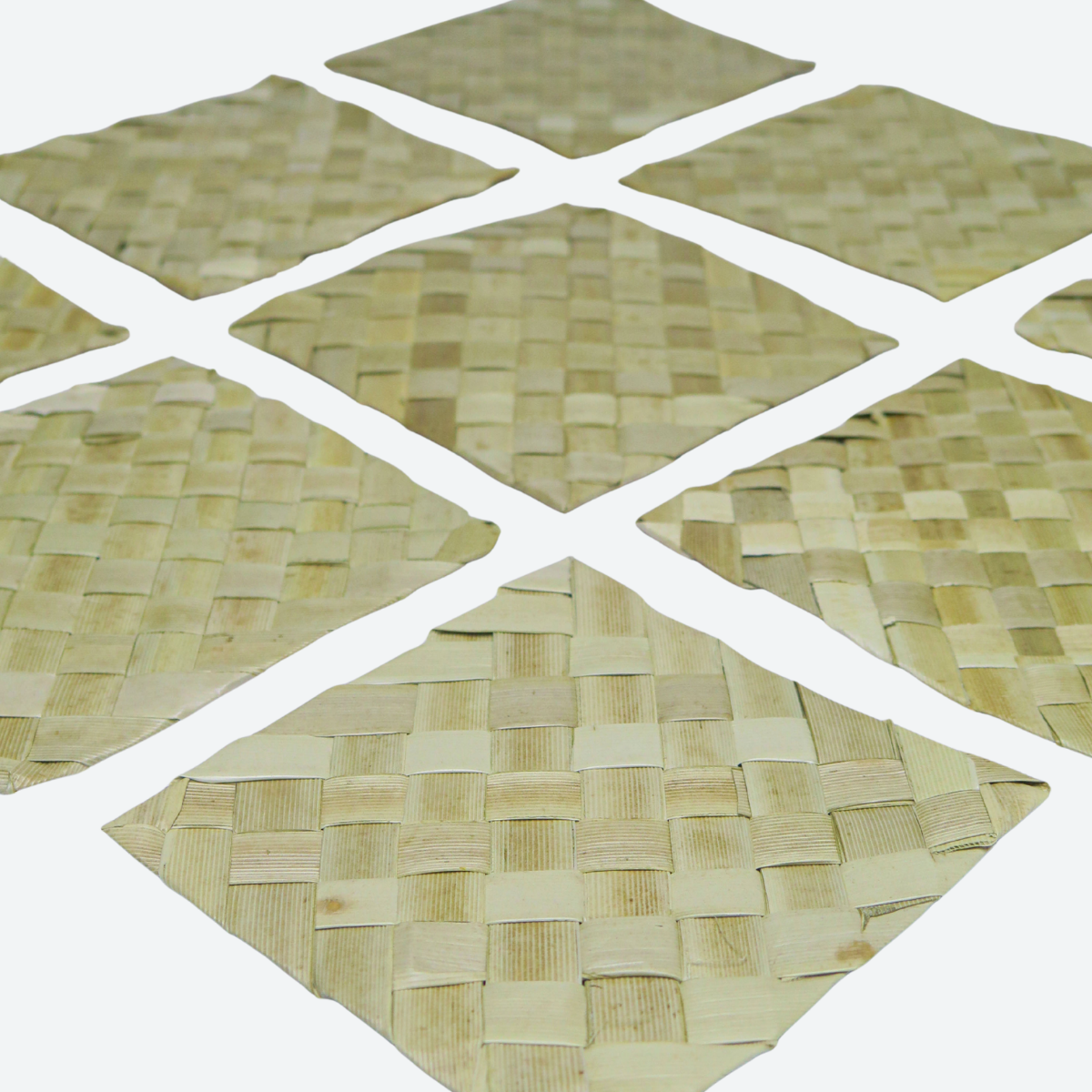 Palm Leaf Square