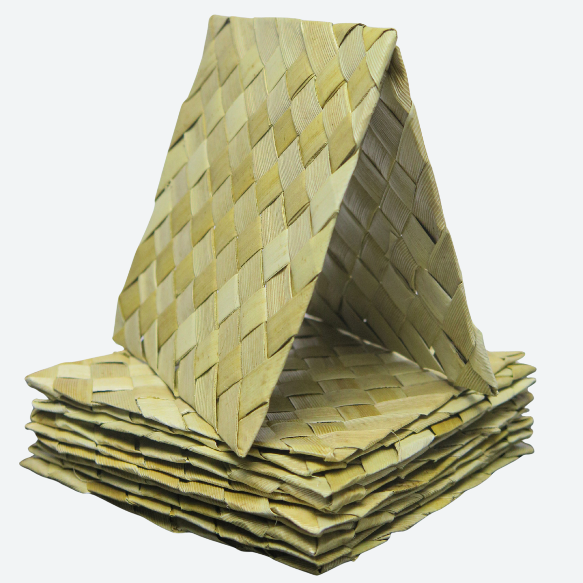 Palm Leaf Square
