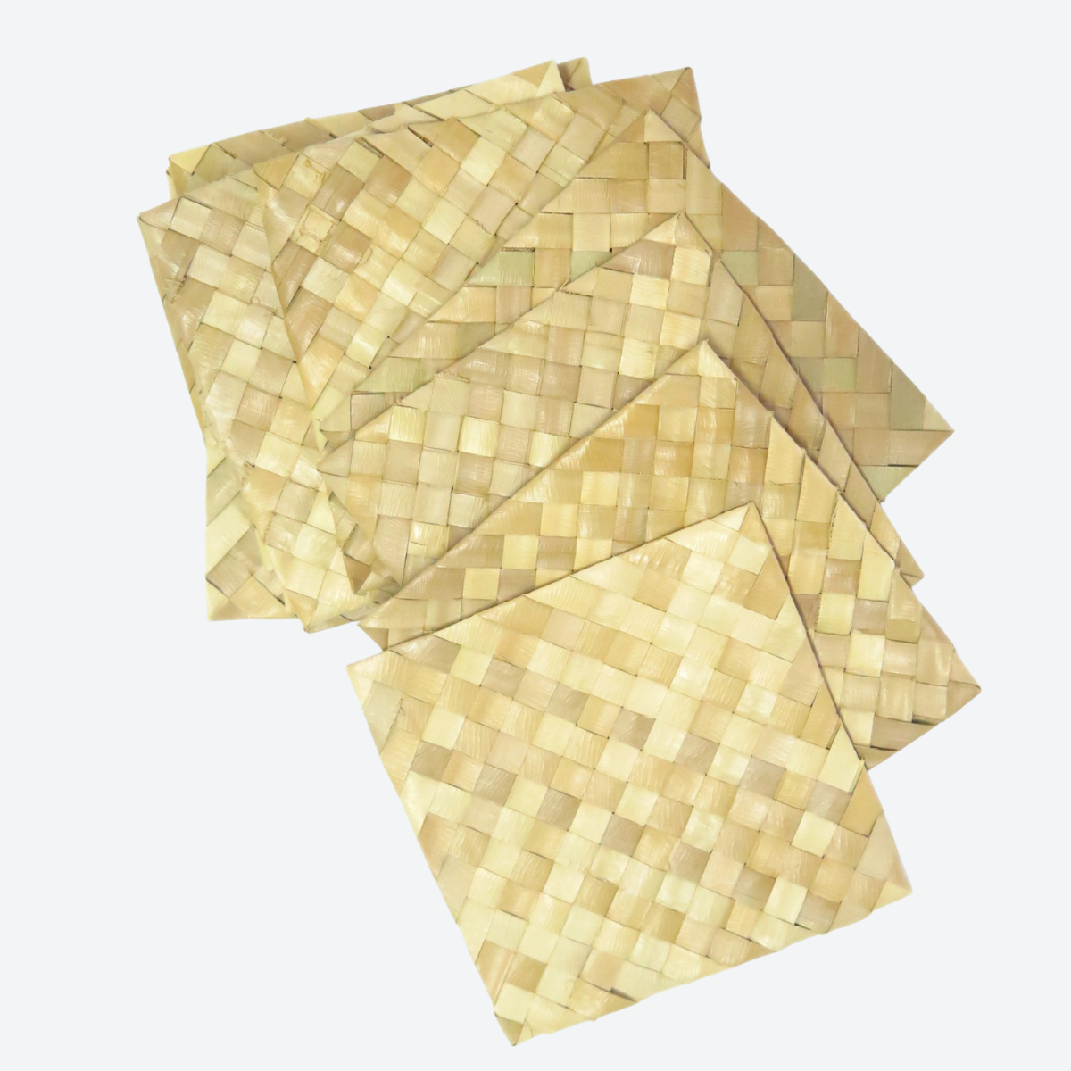 Palm Leaf Square