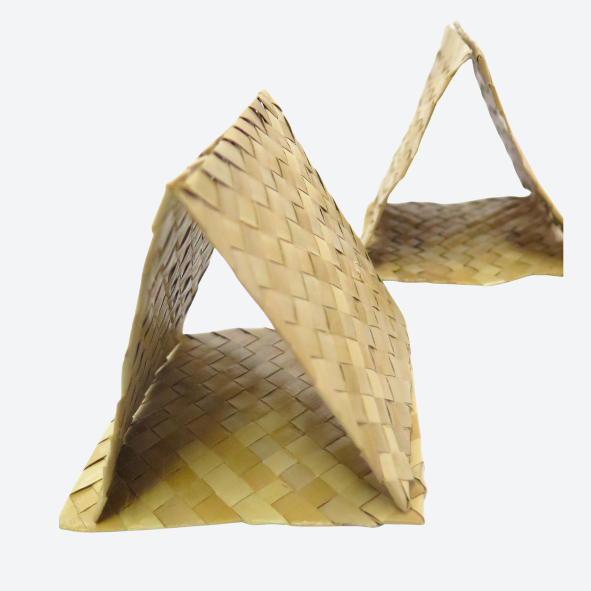Palm Leaf Square