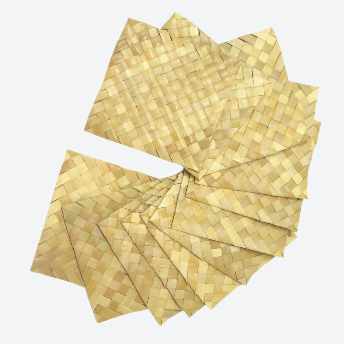 Palm Leaf Square