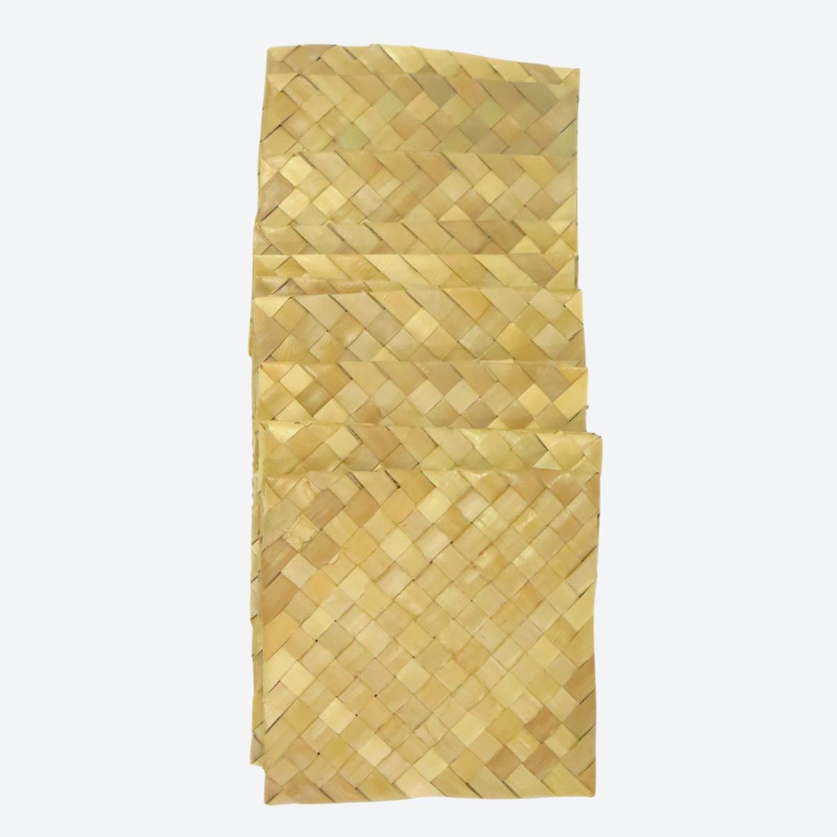 Palm Leaf Square