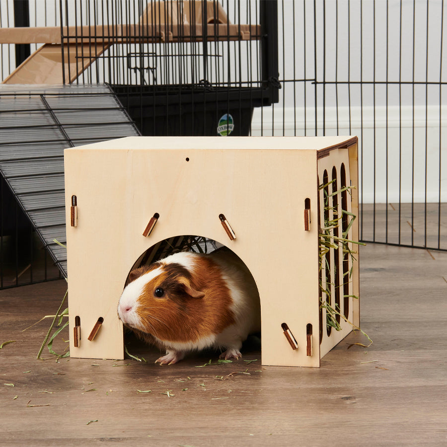 Hay House
