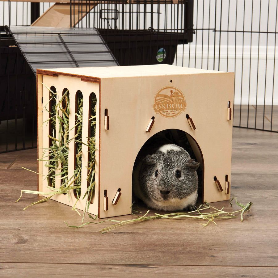 Hay House