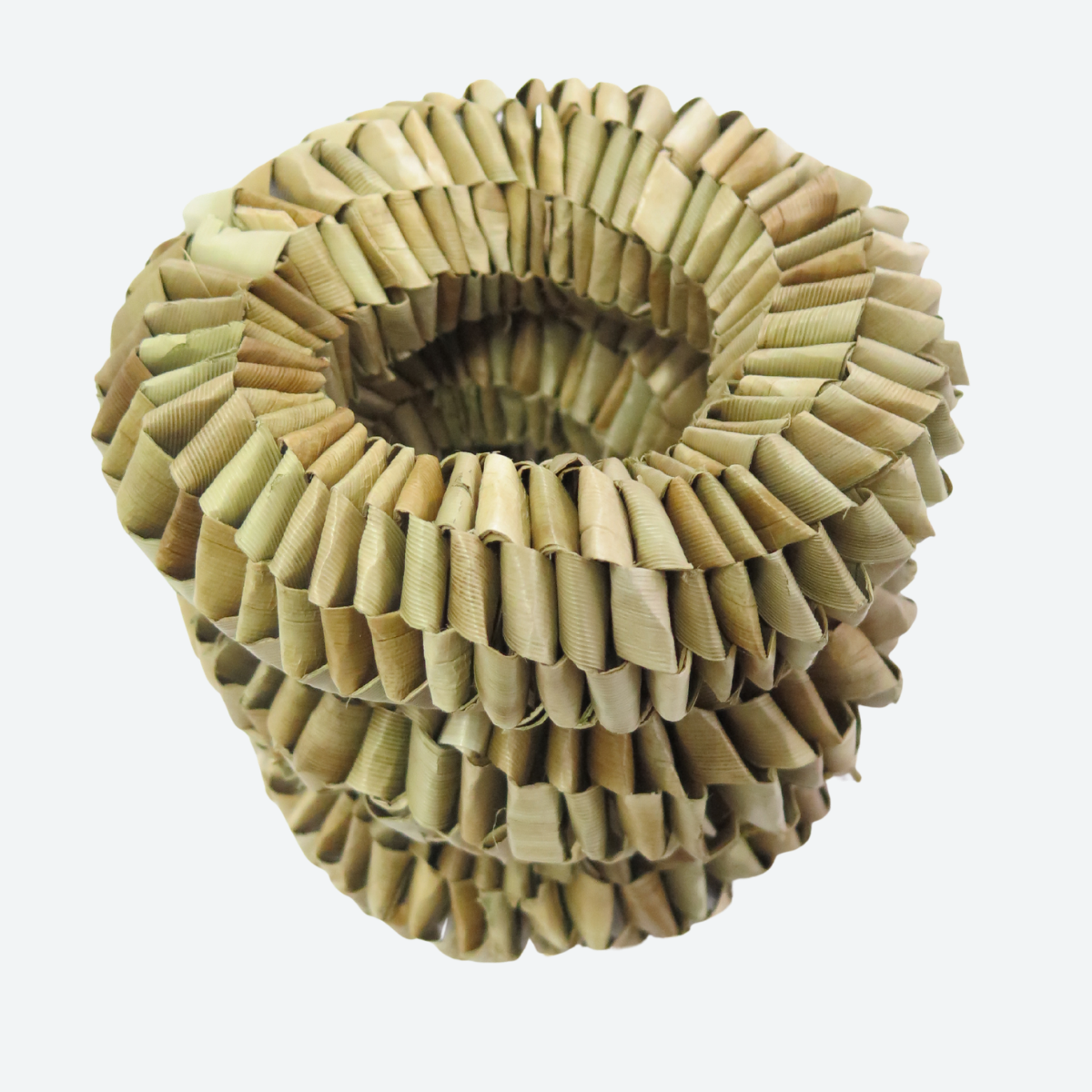 Palm Leaf Donut