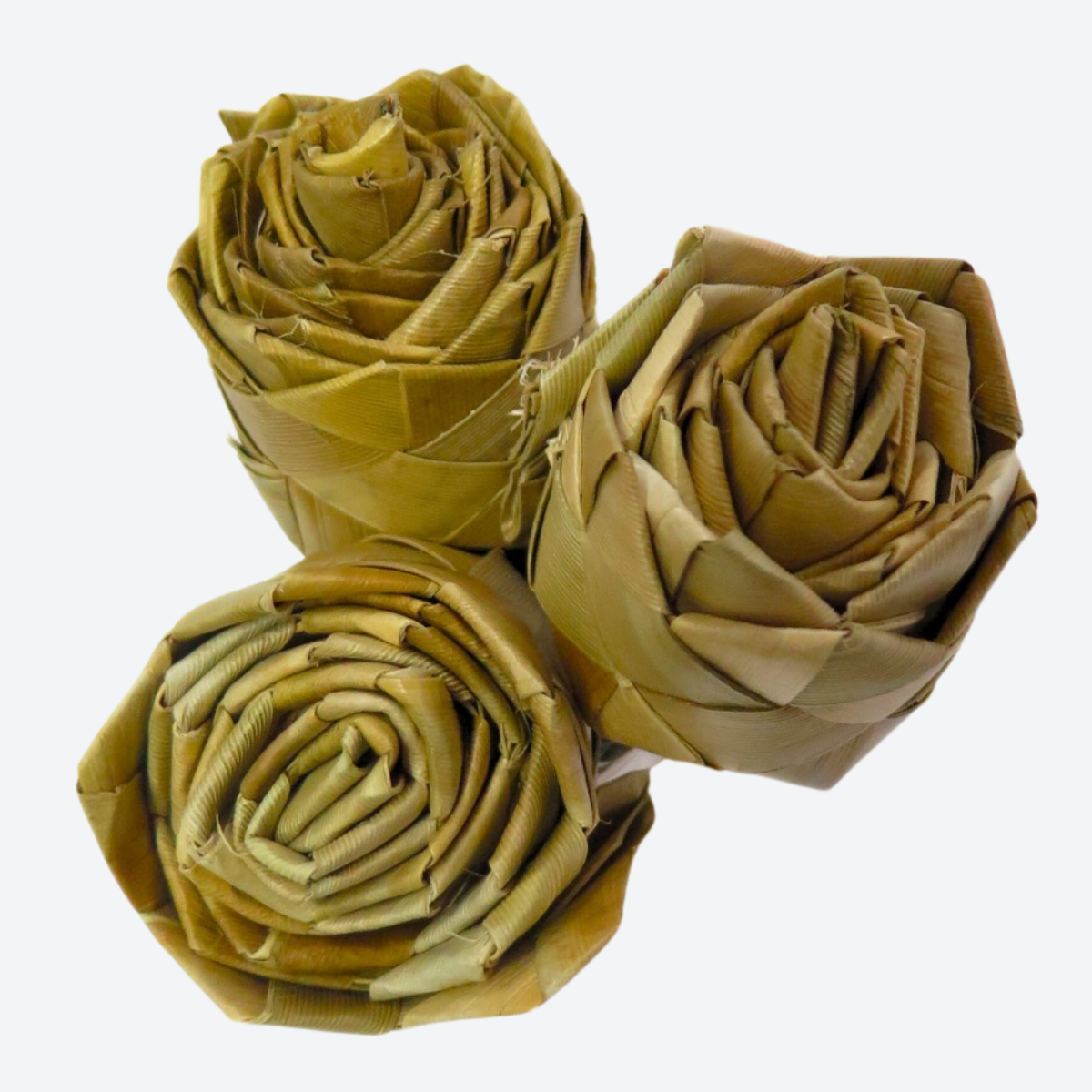 Palm Leaf Rose