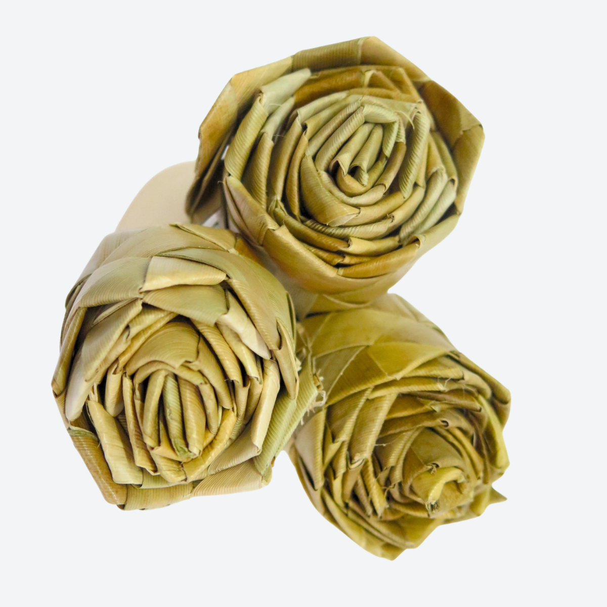 Palm Leaf Rose