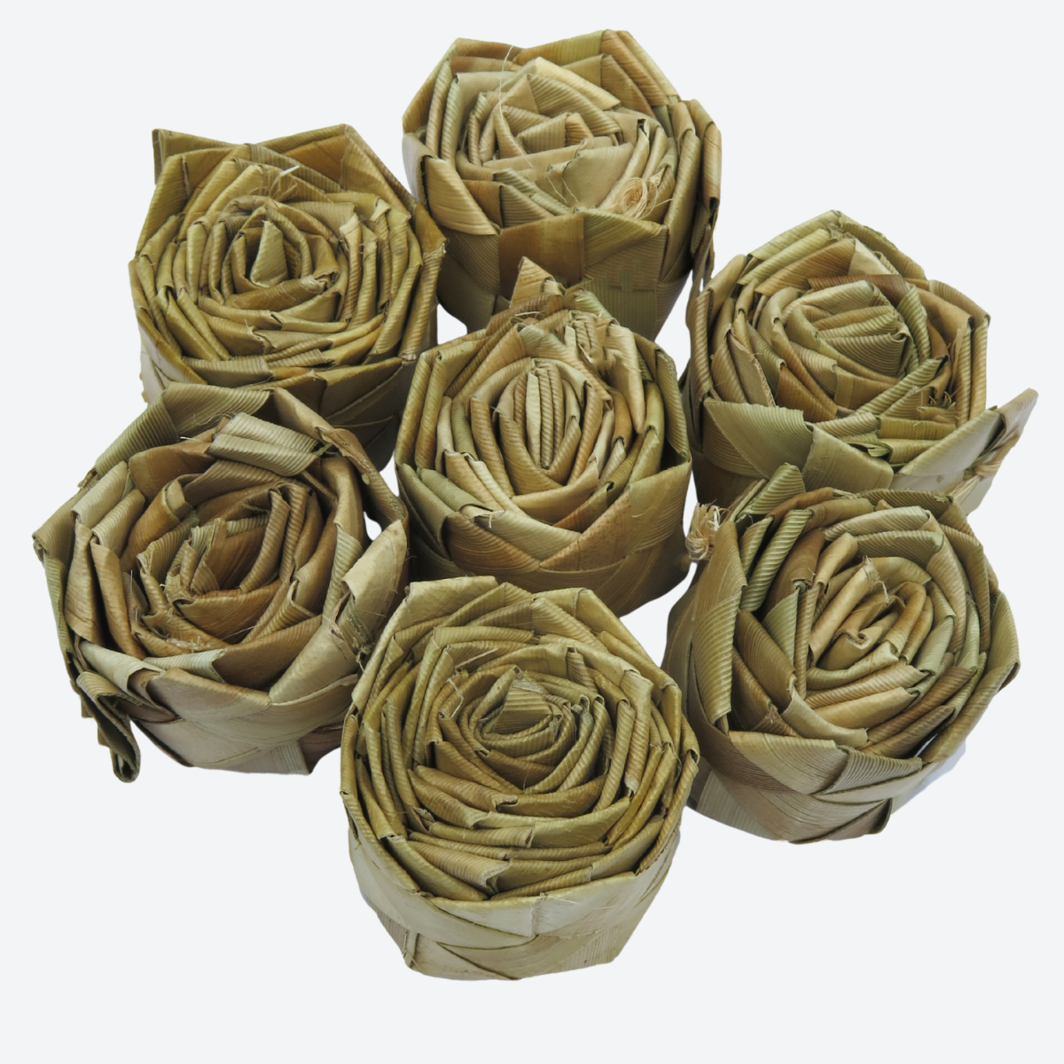 Palm Leaf Rose