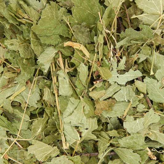 Blackcurrant Leaves