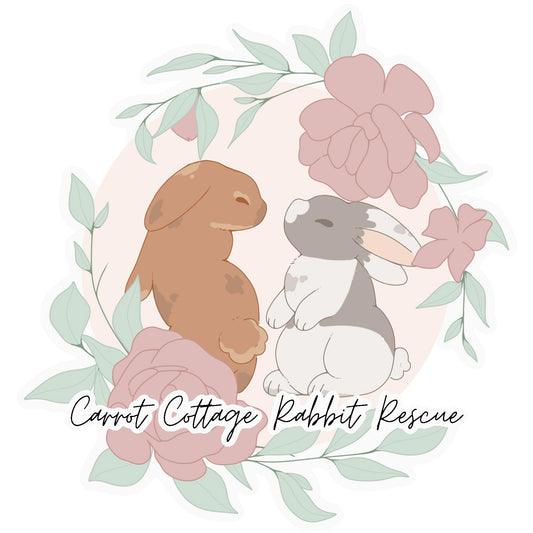 Donation To Carrot Cottage Rabbit Rescue