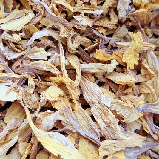 Sunflower Petals