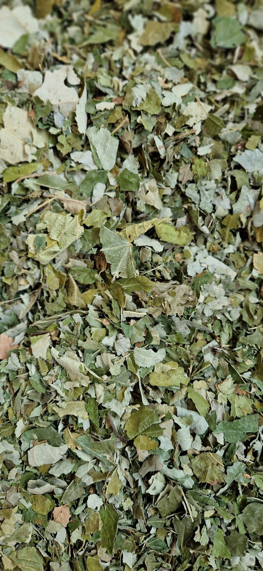 Linden Leaves (smaller leaves)