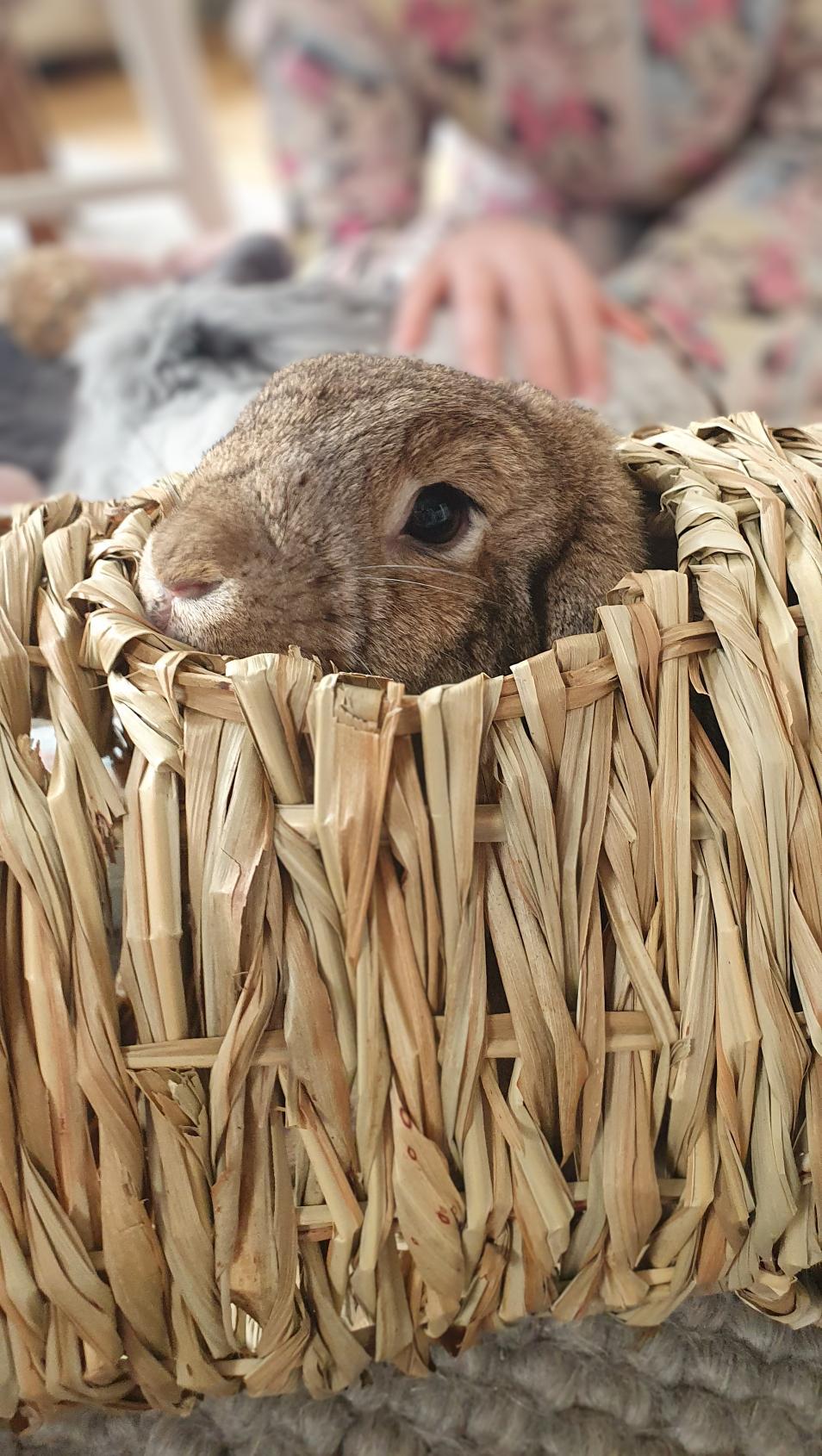 Woven Jumbo Play Tunnel