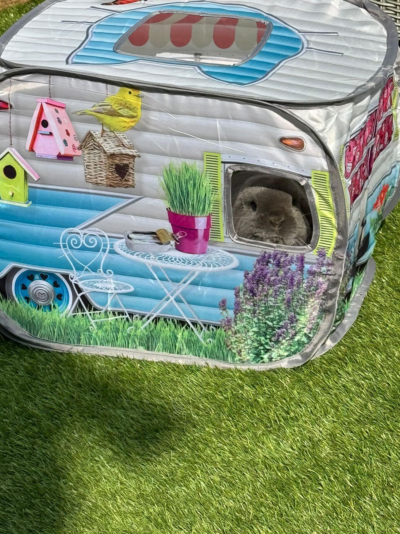 Camper Hideaway